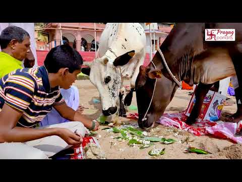 Online Pind Daan in Gaya | Online pind daan gaya ji
