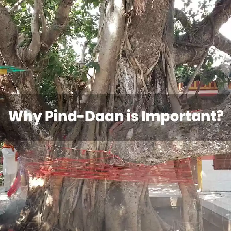 A priest performing Pind Daan at the Vishnupad temple in Gaya