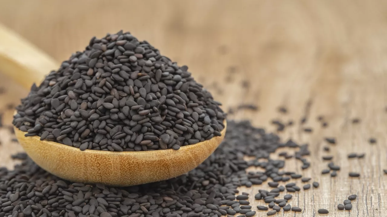 Sesame seeds measured out for Tila Daan at the Magh Mela in Prayagraj
